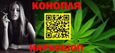 прущие грибы Дубна