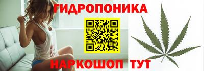 шишки Донецк