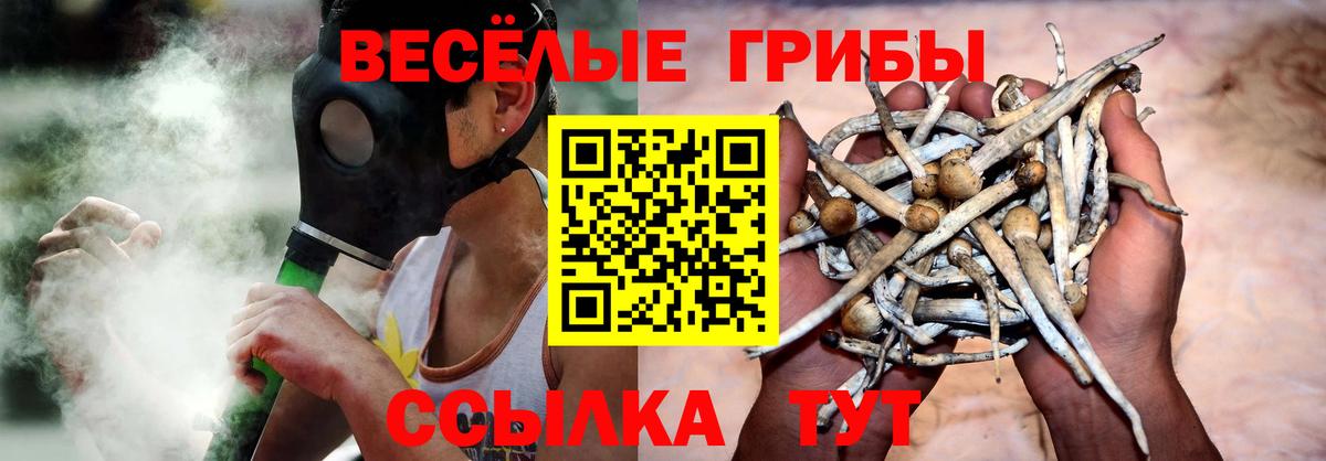 Псилоцибиновые грибы GOLDEN TEACHER Аксай